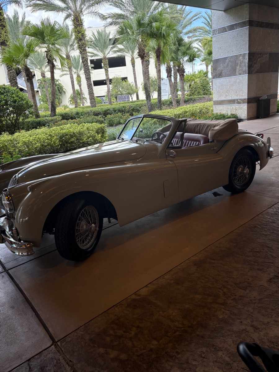 1955 Jaguar Xk 140 DH Special Edition