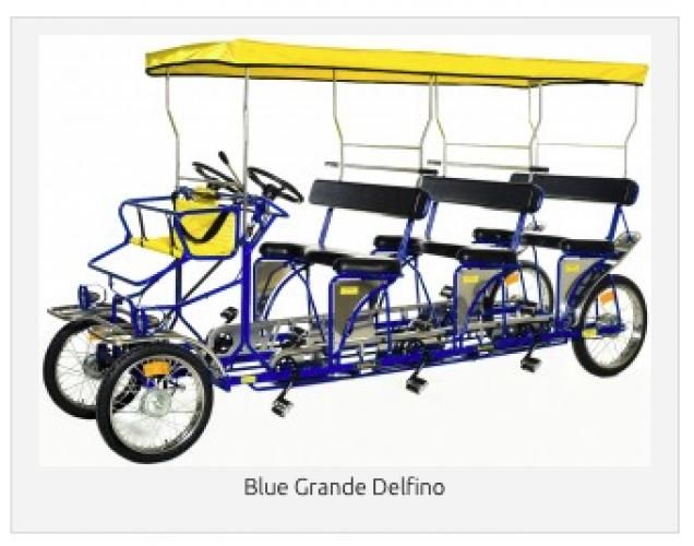 International  Grand Delfino 6 seater