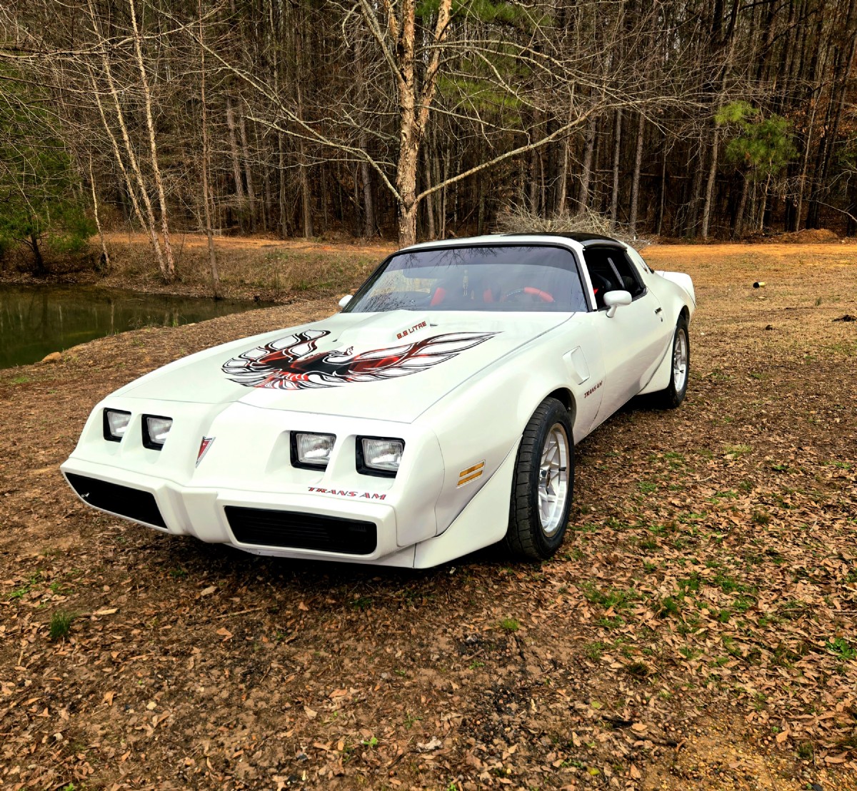 1979 Pontiac  Trans am