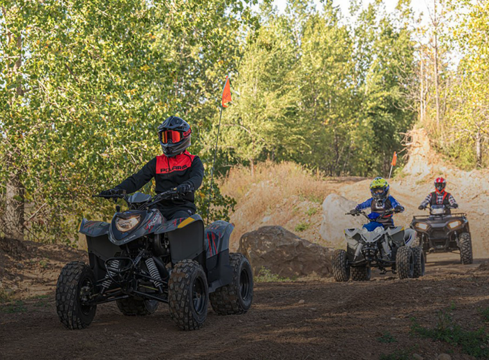 2024 Polaris Phoenix 200