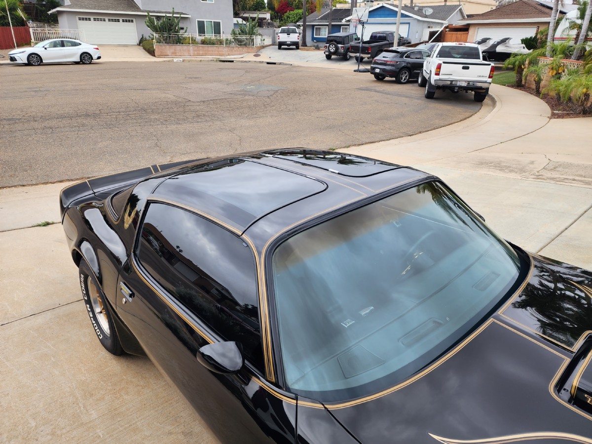 1981 Pontiac  Firebird Trans Am
