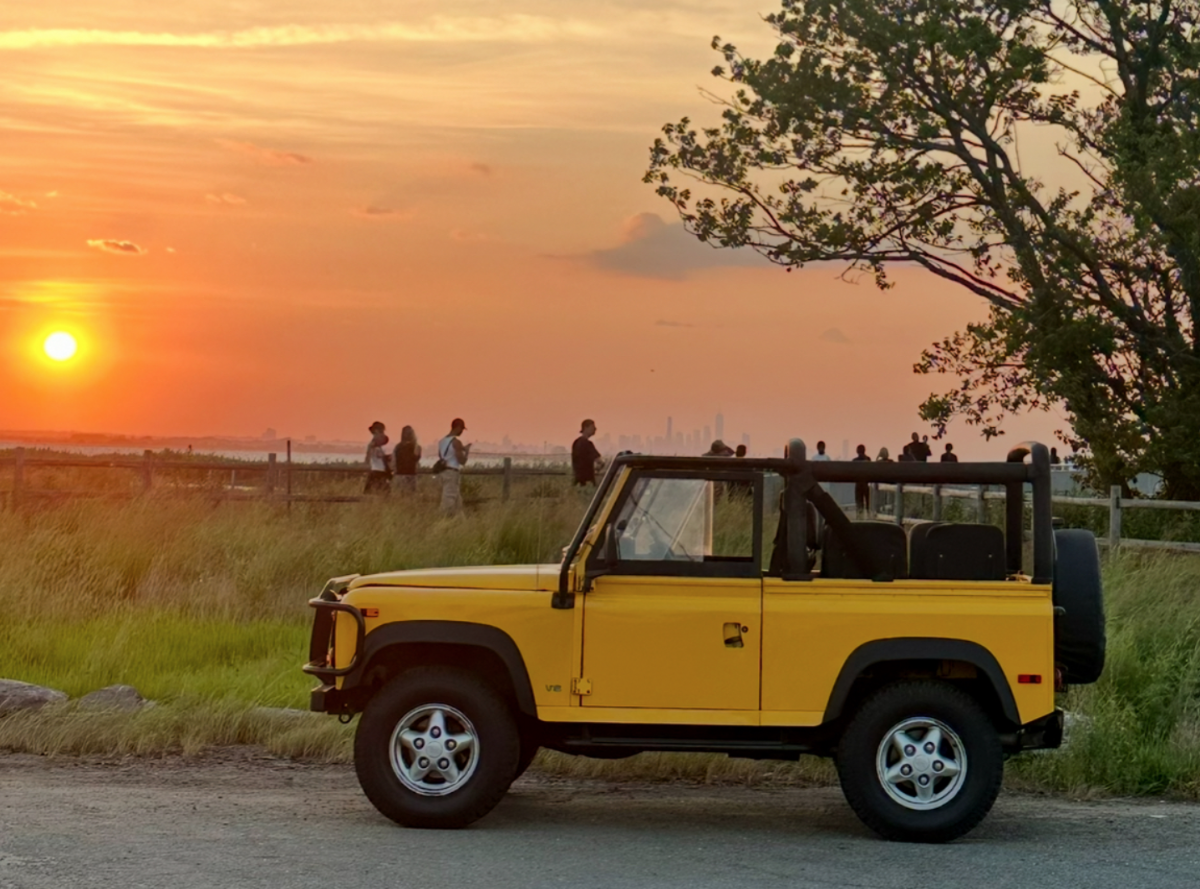1995 LAND ROVER Defender