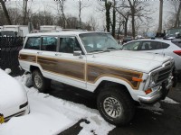 1991 Jeep Grand Wagoneer