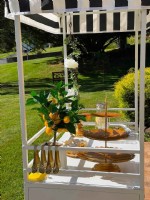 Food display cart