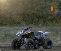 2024 Polaris Phoenix 200
