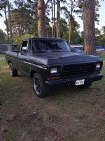 1979 Ford F100