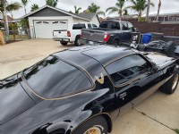 1981 Pontiac  Firebird Trans Am