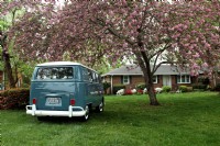 1966 Volkswagen Bus