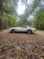 1981 Chevrolet  Corvette stingray
