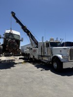 2024 PETERBILT 389
