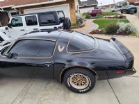 1981 Pontiac  Firebird Trans Am