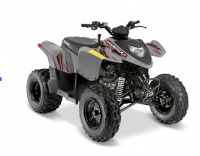 2024 Polaris Phoenix 200