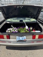 1991 Mercedes  420 SEL