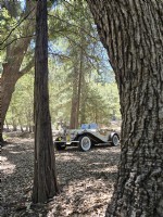 1929 Mercedes Gazelle