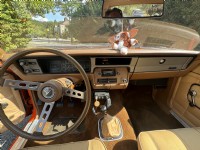 1978 AMC Gremlin