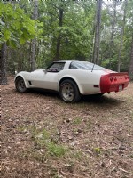 1981 Chevrolet  Corvette stingray
