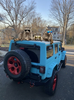 2016 JEEP Wrangler JK