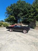 1967 Pontiac Lemans GTO