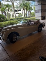 1955 Jaguar Xk 140 DH Special Edition