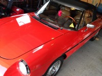 1986 Alfa romeo Graduate