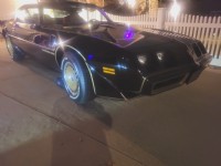 1981 Pontiac  Trans Am