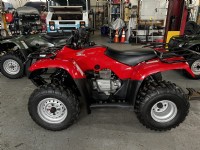 2005 Honda Recon 250