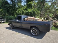 1979 Ford F100