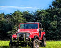1984 Jeep CJ7