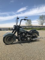 2003 Harley Davidson  Softail