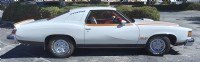 1977 Pontiac  Lemans Sport Coup,  Can Am