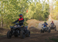 2024 Polaris Phoenix 200