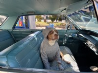 1963 Chevrolet  Impala