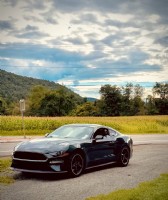 2019 Ford Mustang - Bullitt
