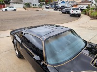 1981 Pontiac  Firebird Trans Am