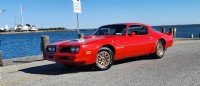 1978 Pontiac  Trans Am