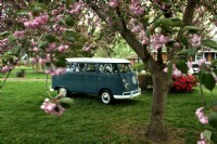 1966 Volkswagen Bus