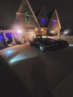 1981 Pontiac  Trans Am