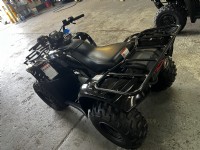 2005 Honda Recon 250
