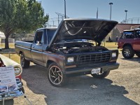 1979 Ford F100