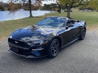 2021 FORD Mustang I4 Convertible