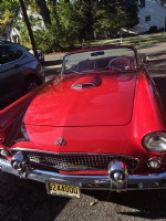 1955 Ford Thunderbird