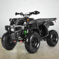 2026 Kodiak 200CC
