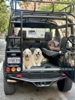 1997 LAND ROVER Defender