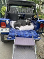 1984 JEEP CJ-7 Open Body