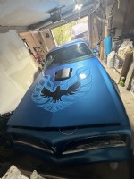 1978 Pontiac Firebird