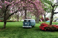 1966 Volkswagen Bus