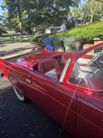 1955 Ford Thunderbird