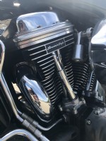 2003 Harley Davidson  Softail