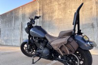 2023 Harley-Davidson Low Rider S