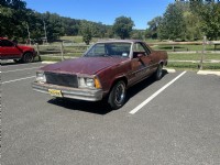 1981 CHEVROLET El Camino 1/2 Ton